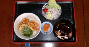 宮崎県東郷町古民家いちふく料理写真K
